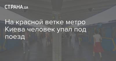 На красной ветке метро Киева человек упал под поезд