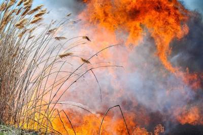 Астраханцев предупредили о чрезвычайной пожароопасности в регионе