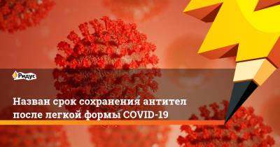 Назван срок сохранения антител после легкой формы COVID-19