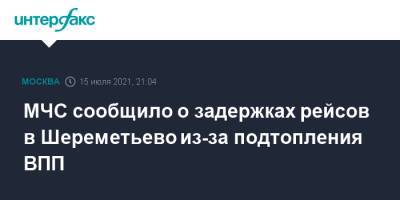 МЧС сообщило о задержках рейсов в Шереметьево из-за подтопления ВПП