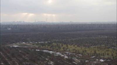 Экс-чиновника подозревают в раздаче земель на миллиард гривень - hubs.ua - Украина - Киевская обл.