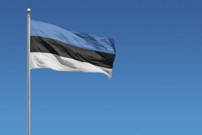 Эстония отправит петербургского делегата домой в отместку за выдворение их представителя