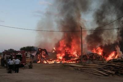 В Сасове Рязанской области сгорела пилорама