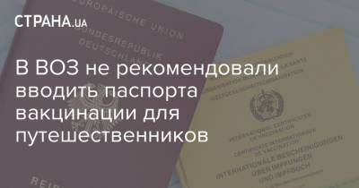 В ВОЗ не рекомендовали вводить паспорта вакцинации для путешественников