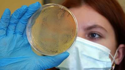 Ученые назвали условия для появления опасных мутаций коронавируса