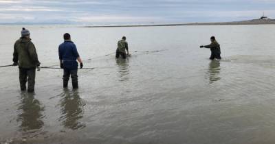 На Камчатке обнаружили тела унесенных рекой детей
