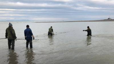 Два мальчика утонули на Камчатке при попытке переплыть промоину — фото с места