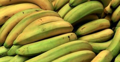 В России стоимость бананов обновила пятилетний рекорд