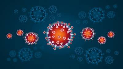 Глава ВОЗ вновь высказал предположения по поводу происхождения коронавируса