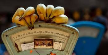 В российских магазинах резко подорожали бананы