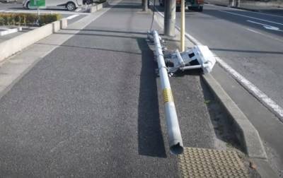 В Японии из-за собак упал столб со светофором