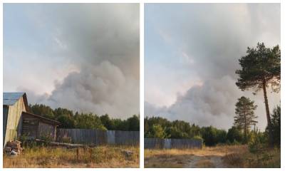«Помогите спасти поселок». Жители поселка, рядом с которым разгорелся лесной пожар, бьют тревогу