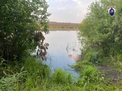 СК организовал поверку по факту гибели мужчины в пруду в Большеболдинском районе