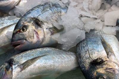Загляни рыбе в глаза: петербуржцам рассказали, как выбрать свежие продукты