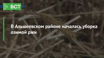 В Альшеевском районе началась уборка озимой ржи