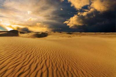 В ОАЭ испытали технологию искусственного вызова дождя – пустыню залило