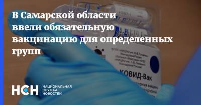 В Самарской области ввели обязательную вакцинацию для определенных групп