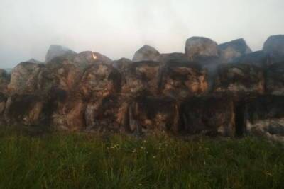 137 тонн заготовленного на зиму сена уничтожил огонь в Смоленской области