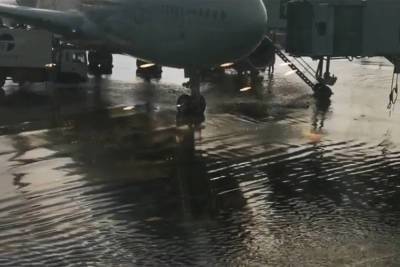 «Самолеты стоят в воде»: в Шереметьево из-за ливня затопило взлетно-посадочную полосу