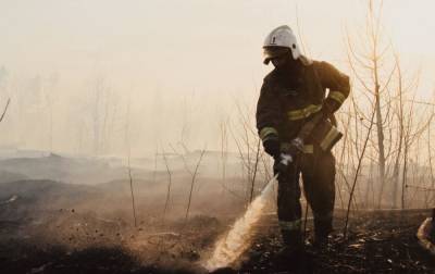 Лесные пожары в России охватили более 1 млн гектаров. Режим ЧС ввели в восьми регионах