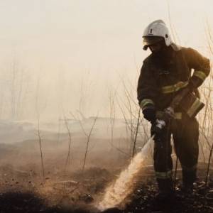 В восьми регионах РФ ввели режим ЧС из-за масштабных пожаров