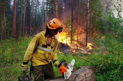 Огонь уничтожил более миллиона гектаров леса в Якутии