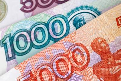 Льготные займы предлагают самозанятым новгородцам