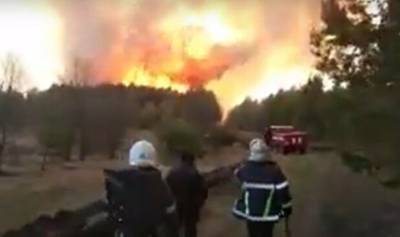 Пожары в Украине уничтожили десятки гектаров земли: срочное заявление спасателей