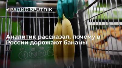 Аналитик рассказал, почему в России дорожают бананы