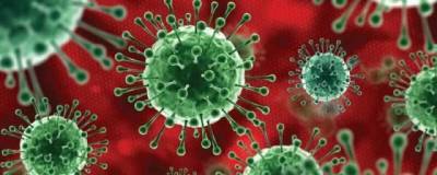 Австралийские ученые заявили, что коронавирус «сильно адаптировался к человеку»