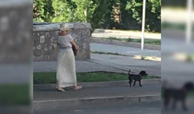В Уфе 51-летняя дама с собачкой на прогулках промышляла наркозакладками