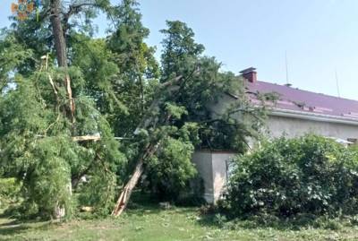 Ураган в Закарпатье оставил без крыш 32 дома и повалил 19 деревьев