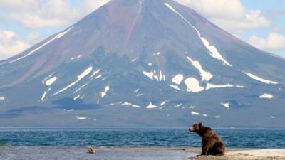 Выжить любой ценой: туристы 11 дней боролись с дикой природой на Камчатке