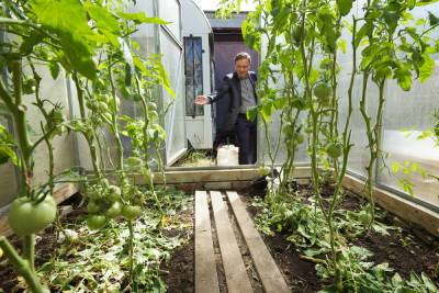 «Растения торопятся отдать урожай»: как ухаживать за огородом в жару