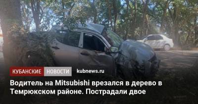 Водитель на Mitsubishi врезался в дерево в Темрюкском районе. Пострадали двое - kubnews.ru - Краснодарский край - Темрюк