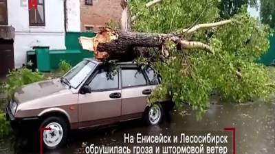 Сломанные деревья, разбитые машины: в Красноярском крае пронесся ураган