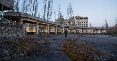 Арт-проєкт, який перетворив Чорнобильську зону на “Ноїв ковчег”