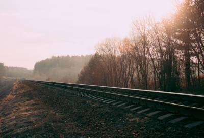 Пропавшая под Приозерском пенсионерка найдена мертвой у железной дороги