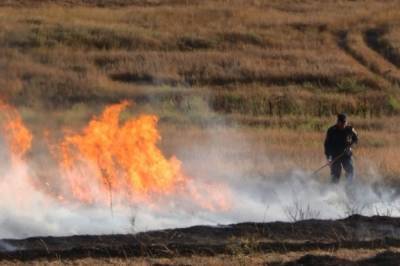 В Хабаровском крае полицейские уничтожили более 360 кг наркотиков