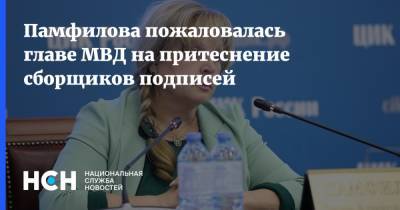 Памфилова пожаловалась главе МВД на притеснение сборщиков подписей
