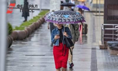 Москвичей предупредили о кислотных дождях