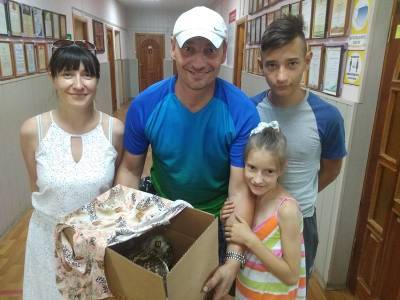 Семья из Смоленской области спасла раненую сову