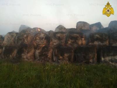 В Смоленской области огонь уничтожил 137 тонн сена