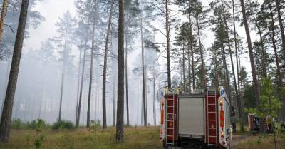В Инчукалнсе и окрестностях Сигулды горит лес, отменены электрички