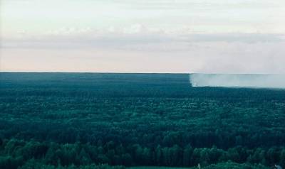 Два лесных пожара потушили в Нижегородской области за сутки