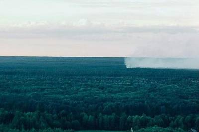 Два лесных пожара потушили в Нижегородской области за прошедшие сутки