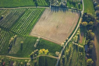 В Украине сельхозземлями площадью от 100 гектаров обладают более тысячи человек