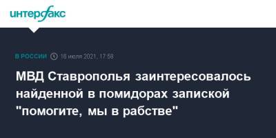 МВД Ставрополья заинтересовалось найденной в помидорах запиской "помогите, мы в рабстве"
