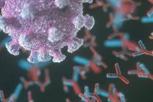 Учёные нашли антитело, нейтрализующее все известные штаммы коронавируса
