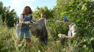 Пензенские волонтеры очистили от мусора берег Суры